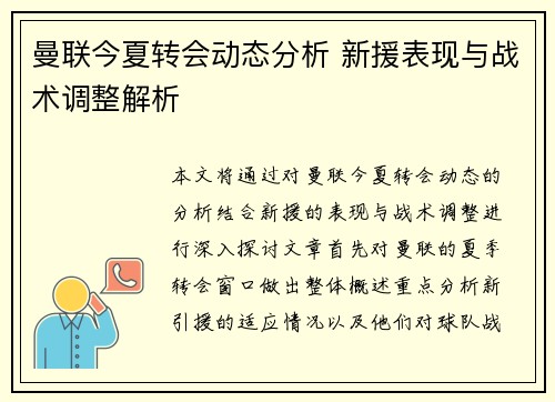 曼联今夏转会动态分析 新援表现与战术调整解析